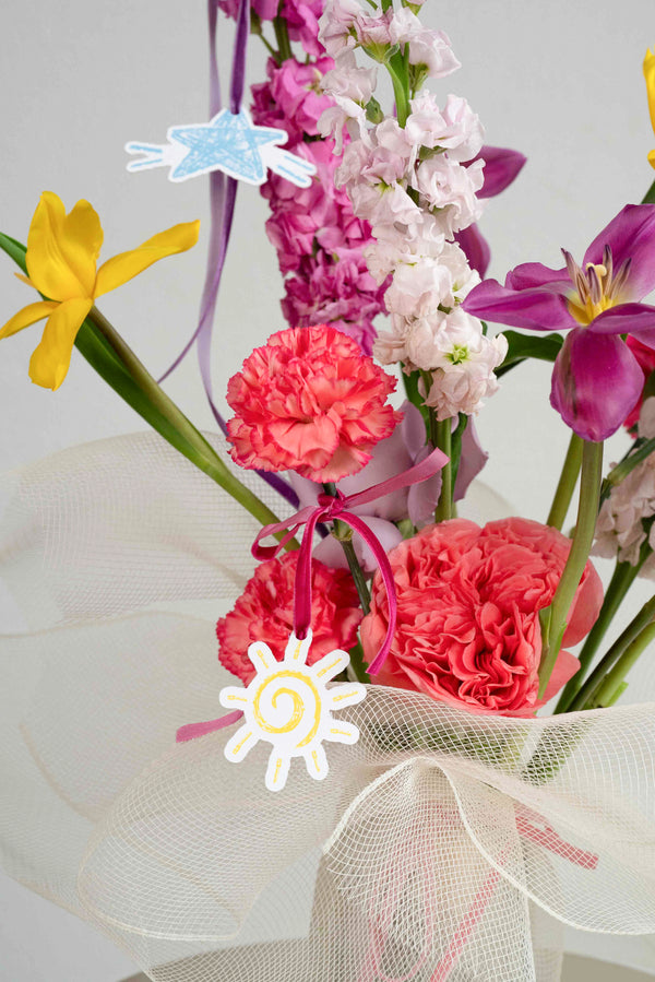 Sunshine & Scribbles