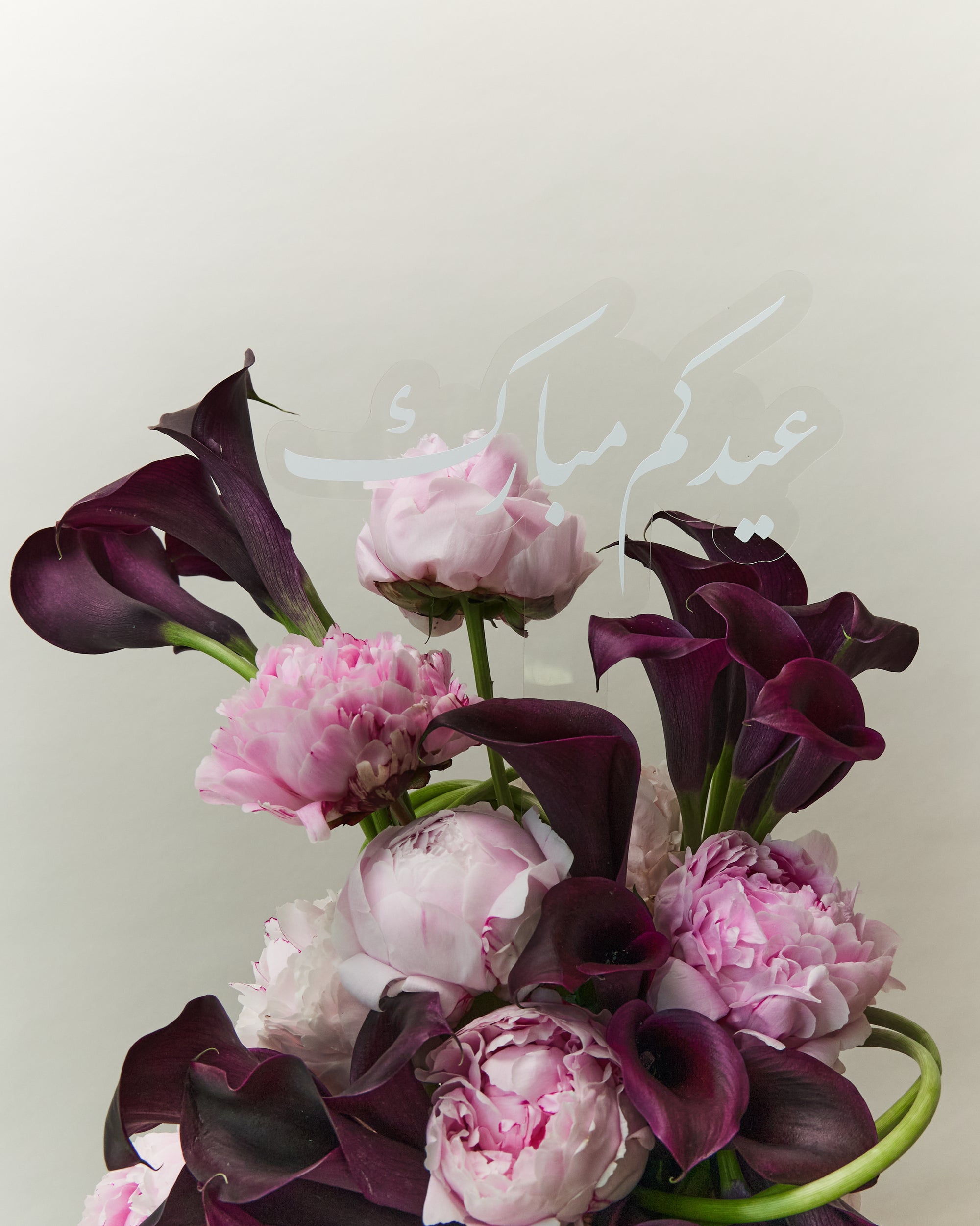 Where Peonies Wander